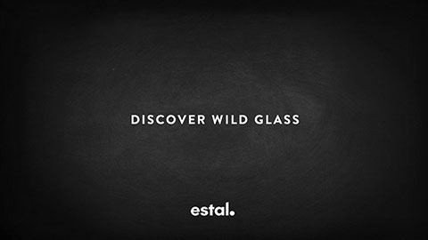 Inspire yourself with the world of Wild Glass